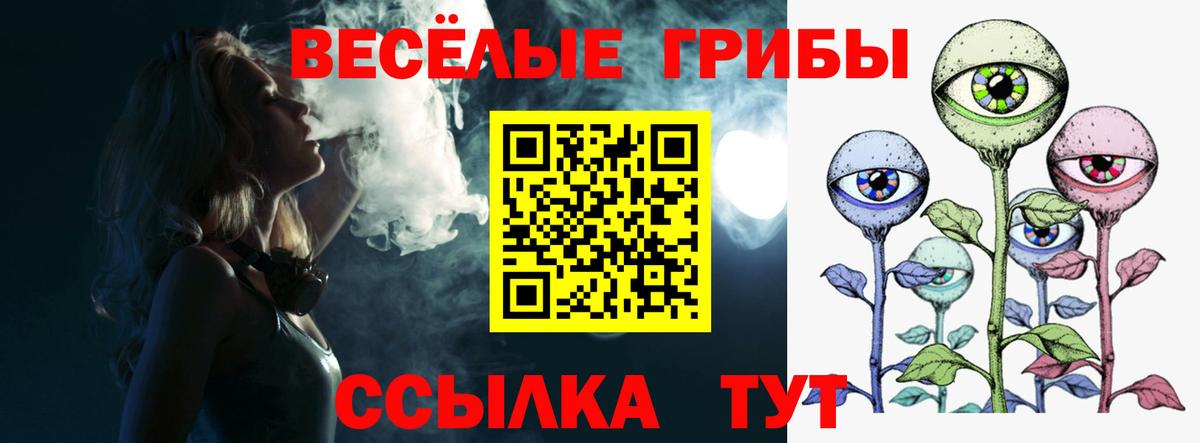 Псилоцибиновые грибы прущие грибы Качканар